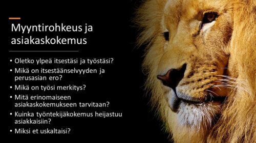 Valmennukset, valmennus